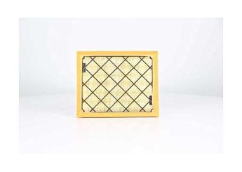 Hava Filtresi  BSG 30-135-031  5243186 DS739601AC