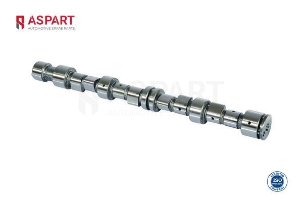 Eksantrik Mili  ASPART 8CAM1081