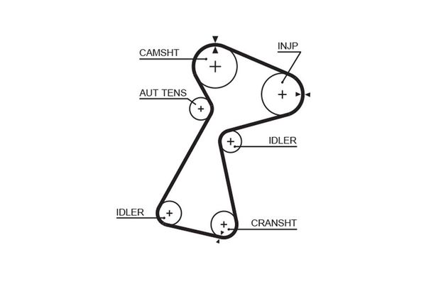 Triger Kayışı  GATES 5561XS