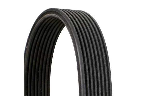 Vantilatör Kayışı  BMW X6 Serisi (E71/E72)(07.2008->)  CONTINENTAL 8DPK1833