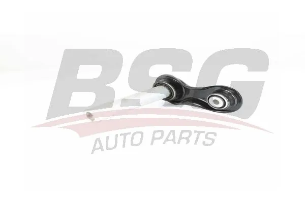 Denge Kolu Arka Sağ veya Sol BMW X5 Serisi (F15)(02.2014->)  DELPHI TC3013