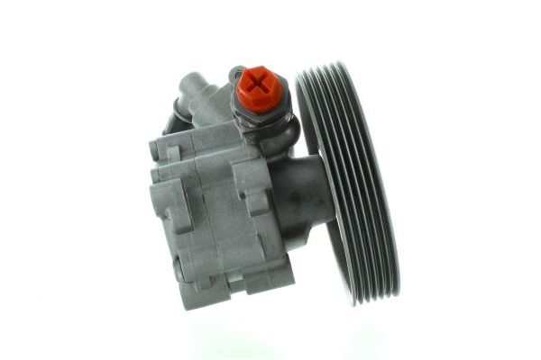 Direksiyon Pompası  SPIDAN GKNY10020