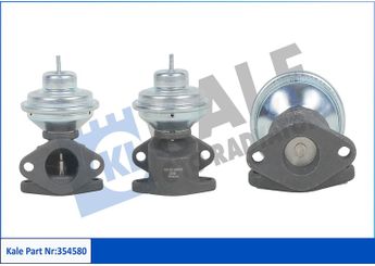 Egr Valfi  NGK 95549  WAV100220 WAV 100220