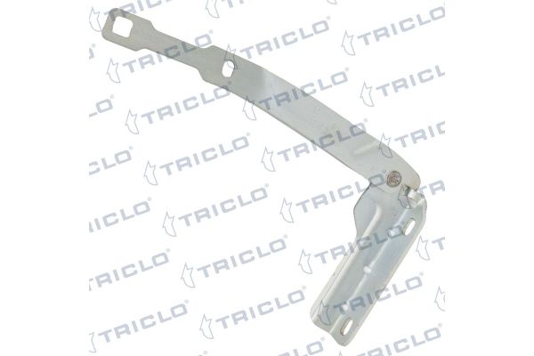 Motor Kaput Menteşesi Sağ OPTIMUM 654009401R