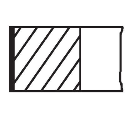 Segman (89.90MM-0.25)  MAHLE 001 14 N1