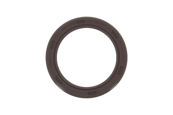 Eksantrik Keçesi  PAYEN NB799