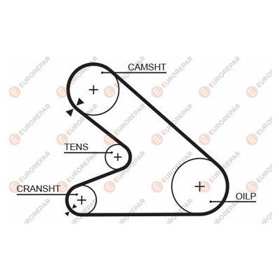 Triger Kayışı  Citroen CX 5 Kapı (07.1985->)  EUROREPAR 1633127980