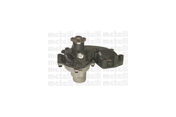 Devirdaim Su Pompası  METELLI 24-0624