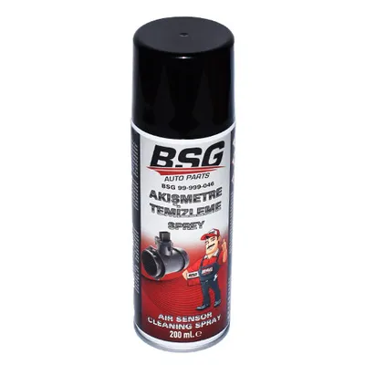 Hava Akışmetre Temizleme Spreyi (200 Ml)  BSG 99-999-046