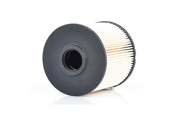 Yakıt Filtresi  BSG 60-130-006