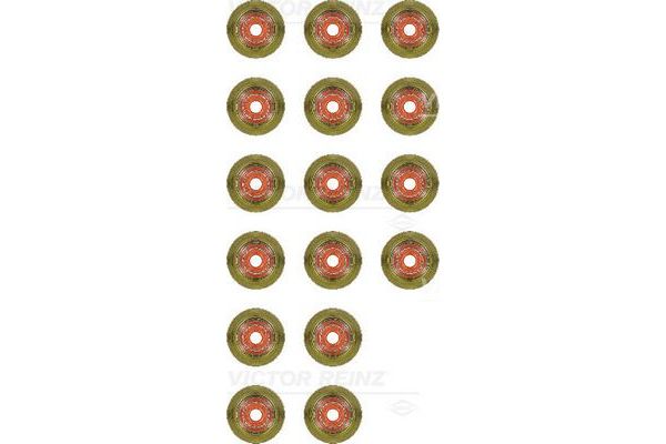 Supap Lastiği  BMW X1 Serisi (F48/F49)(2016->)  REINZ 12-39398-01