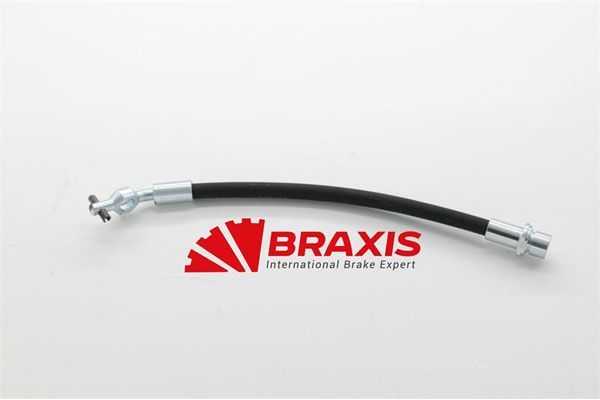 Fren Hortumu Arka Sağ BRAXIS AH0898
