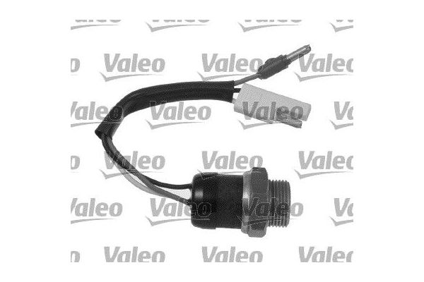 Fan Müşürü  Fiat Ducato P.Van (290)(08.1990->)  VALEO 819828