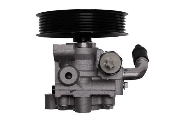 Direksiyon Pompası  Ford Transit Connect (TC7)(2002->)  GVA 2532006