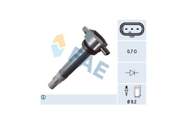 Ateşleme Bobini  Chrysler 300C (LE/LX)(2004->)  FAE 80489