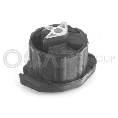 Şanzıman Takozu Sağ veya Sol BMW X6 M Serisi (E71)(2009->)  RIW BW12114