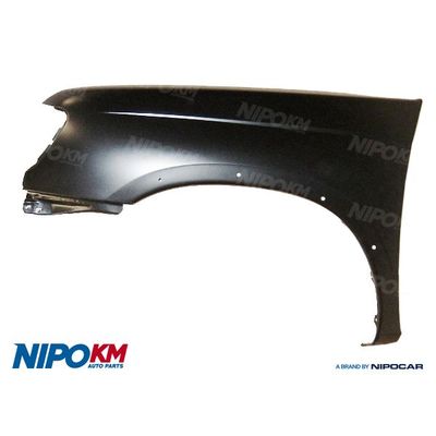 Çamurluk Ön Sol FPI NSF082LB