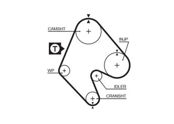 Triger Kayışı  GATES 5048  636360 90128821 PMTB31
