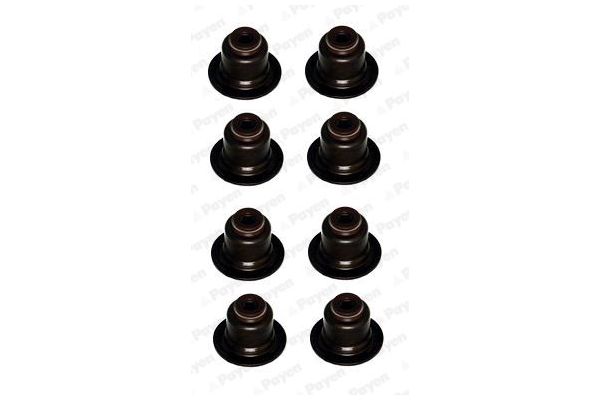 Supap Lastiği  PAYEN HR809