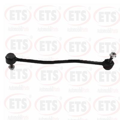 Viraj Demir Askı Rotu Arka Sağ veya Sol RIW FO4121