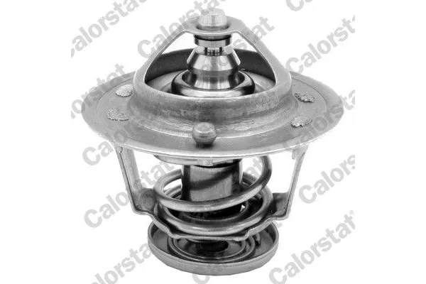 Termostat  Nissan Terrano II (R20)(02.1993->)  MAHER 10295