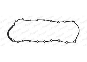 Karter Contası  ROYAL H2 25050  7700273486 1112100QAF 11121-00QAF