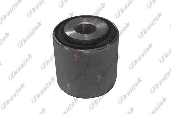 Salıncak Burcu Arka Alt Sağ veya Sol BMW X6 Serisi (E71/E72)(07.2008->)  KAUTEK BM-BS054