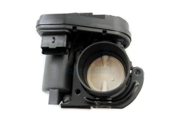 Gaz Kelebeği  PSA ORJINAL 163637