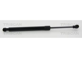 Bagaj Amortisörü Sağ veya Sol FROW 389.1650.006  96474968