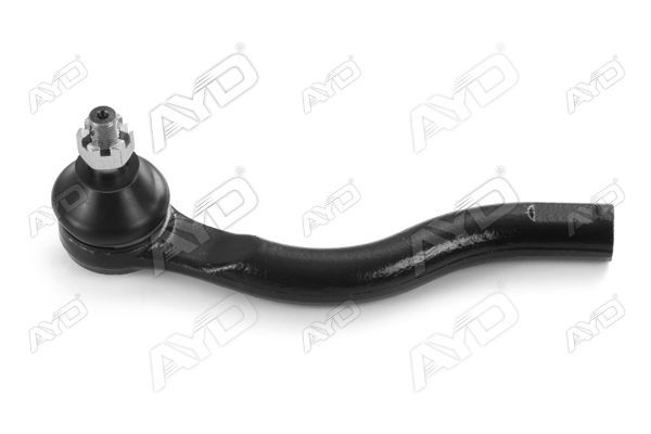 Rot Başı Sol AYD 11188