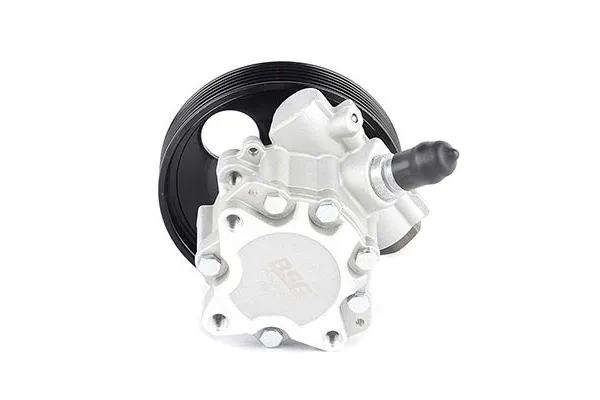 Direksiyon Pompası  BSG 70-355-007