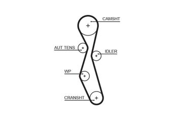 Triger Kayışı  GATES 5606XS  1231976 816G3 0816.G3 0816G3 96408286 9640828680 9464640380 3M5Q6K288BA 8653650