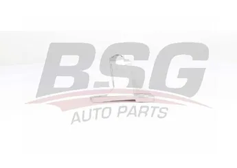 Aks Taşıyıcı Orta BSG 75-330-001  8200502731