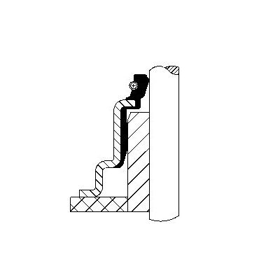 Supap Lastiği  CORTECO 12018033