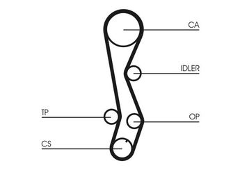 Triger Kayışı  CONTINENTAL CT1030  13568 11100 1356811100 13568-11100 1356811101 13568-11101 1356819115 13568-19115 1356819116 13568-19116 13568YZZ15