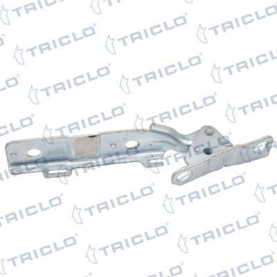 Motor Kaput Menteşesi Sağ Citroen C5 4 Kapı (04.2008->)  PSA ORJINAL 791343