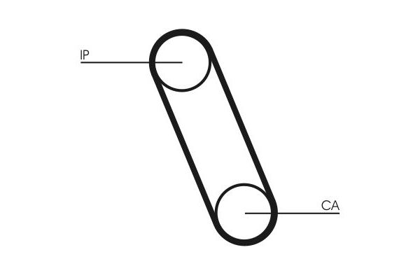Triger Kayışı  CONTINENTAL CT561