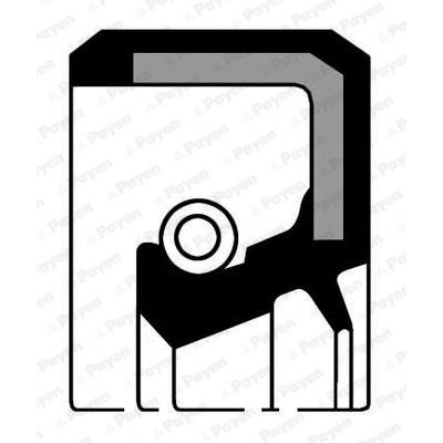 Krank Keçesi Ön PAYEN NF722