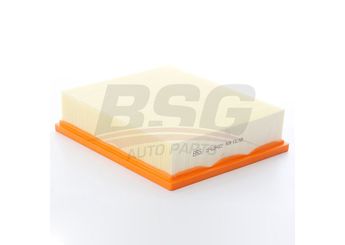 Hava Filtresi  BSG 15-135-027  ESR4238 LR027408 PHE500040
