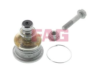 Rotil Alt Sağ veya Sol ORJİN 01196  8200298455 401604793R 40 16 047 93R 8200298454 82 00 298 454 82 00 298 455 8200457208 82 00 457 208 8200457209 82 00 457 209 8200679063 82 00 679 063 8200679067 82 00 679 067