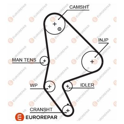 Triger Kayışı  Citroen Jumpy (11.2003->)  EUROREPAR 1633126480