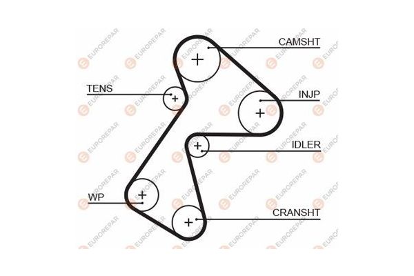 Triger Kayışı  Renault Clio I Faz III (04.1996->)  EUROREPAR 1633138280