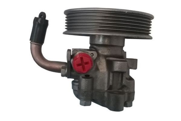 Direksiyon Pompası  SPIDAN GKNY10100