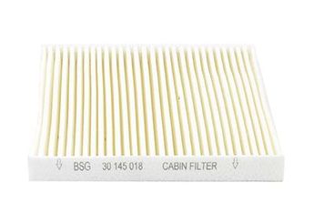 Polen Filtresi  BSG 30-145-018  1745604 1748480 6C1116N619AA 6C1116N619AAK 8C1616N619A2A