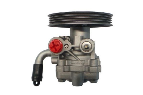 Direksiyon Pompası  SPIDAN GKNY10057