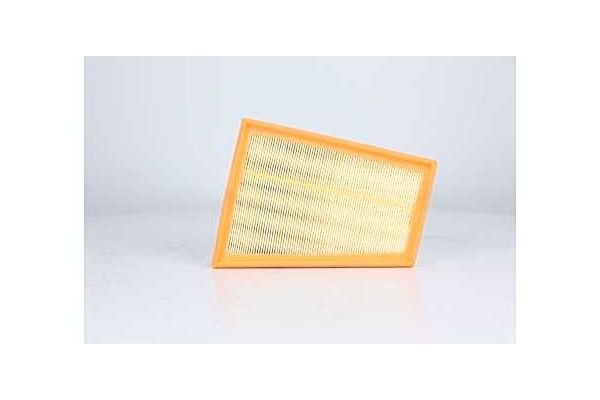 Hava Filtresi  BSG 60-135-042