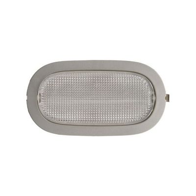 Tavan Lambası  Renault Clio Symbol I (1998->)  BSG 75-819-001