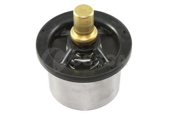 Termostat 82 °C  CALORSTAT THS16957.82J  1544683 1676306 8149182 5001855520 50 01 855 520 7408149182 74 08 149 182