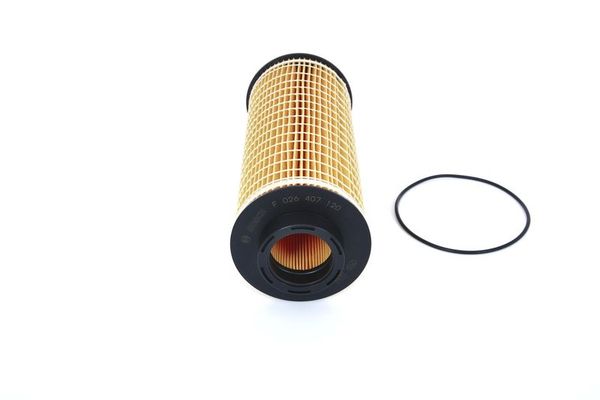 Yağ Filtresi  BOSCH F 026 407 120