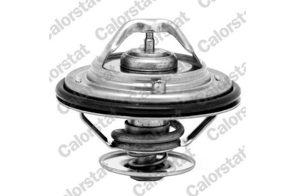 Termostat  Volkswagen Phaeton (3D1/3D9)(05.2010->2016)  WAHLER 4274.82D